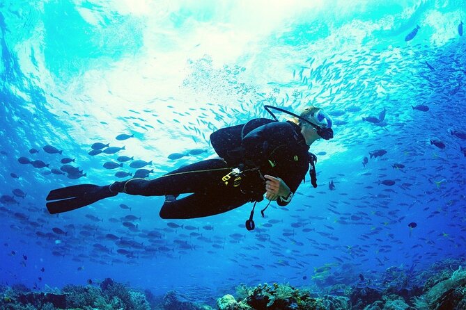 Intro Scuba Diving 2 Stops Trip with Transfers & Lunch - Hurghada - Safety and comfort: what you should verify before you enter the water