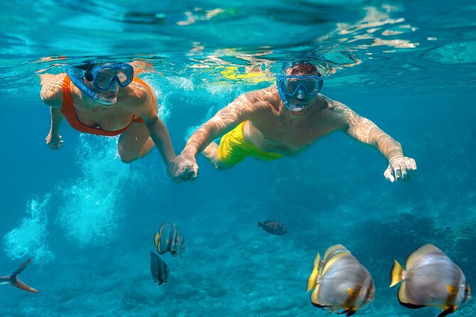 Intro Scuba Diving 2 Stops Trip with Transfers & Lunch - Hurghada - Hotel pickup, port time, and the group size reality