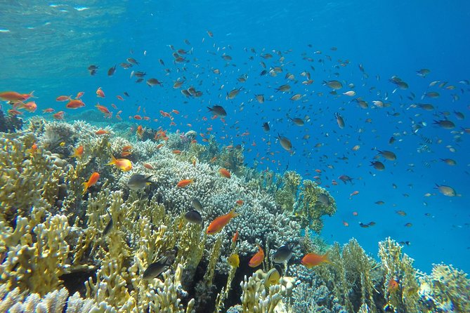 Intro Scuba Diving - Crew, Instructor Help, and the Small Trust-Building Moments