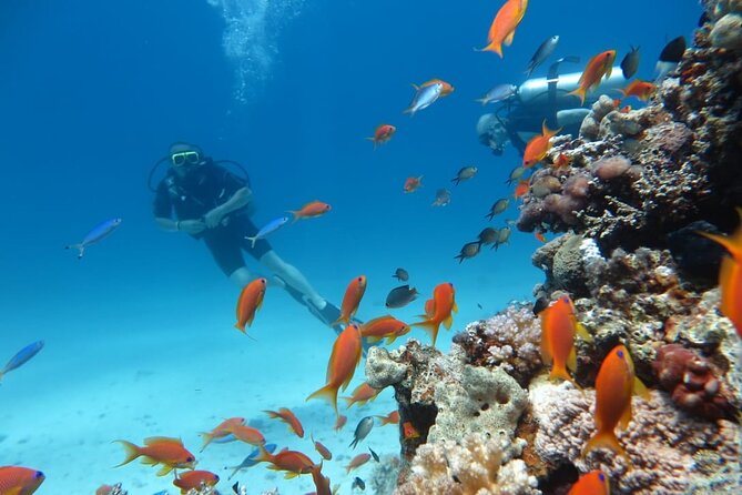 Intro Scuba Diving - Price and Value: Why $23.26 Can Be a Great Deal