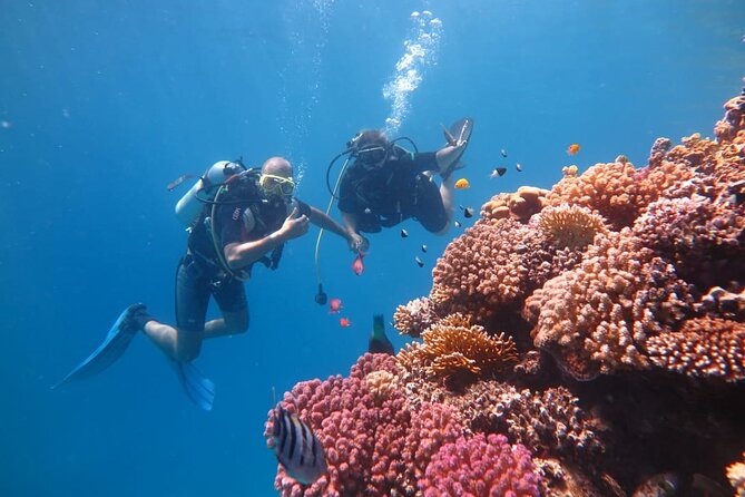 Intro Scuba Diving - Weather Checks and When Plans Change