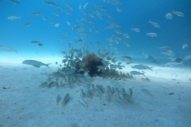 Intro Scuba Diving - Who This Intro Scuba Day Is Best For