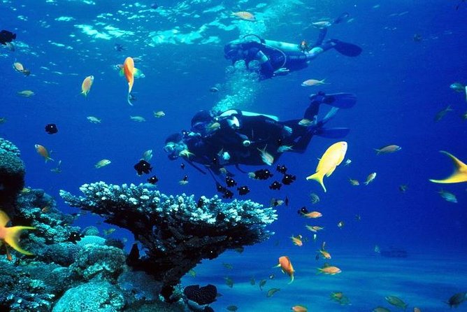 Intro Scuba Diving Beginners Full Day Boat Trip 2 Stops Diving & Lunch– Hurghada - The boat ride plus lunch: the real “why this is worth it”