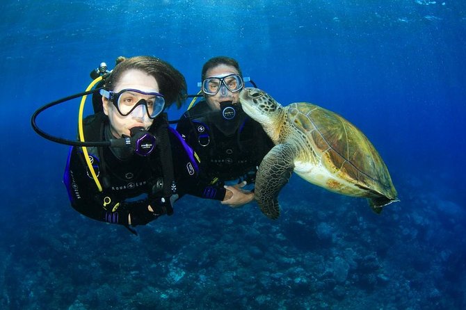 Intro Scuba Diving Experience in Hurghada - Key things I’d bet you’ll care about