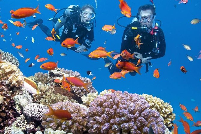 Intro Scuba Diving Experience in Hurghada - Getting your gear sorted: what the instructor training is really for