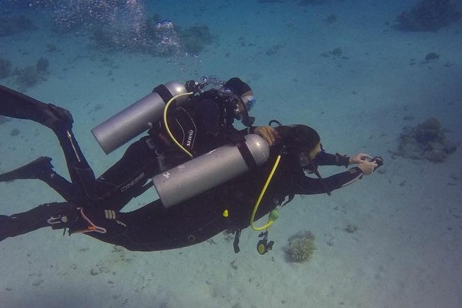 Intro Scuba Diving Experience in Hurghada - What you’ll see underwater: beginner-friendly spots plus deeper walls