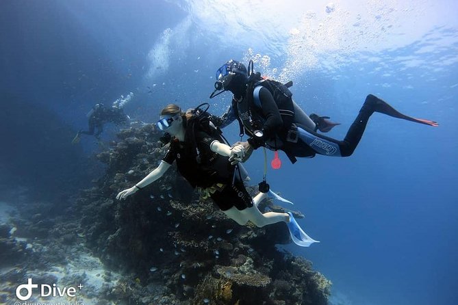 Intro Scuba Diving Experience in Hurghada - Who should book this Hurghada intro scuba experience