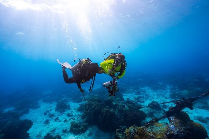 Intro Scuba Diving for beginners With (Lunch,Transfer) – Hurghada - Why this Hurghada beginner scuba day makes sense