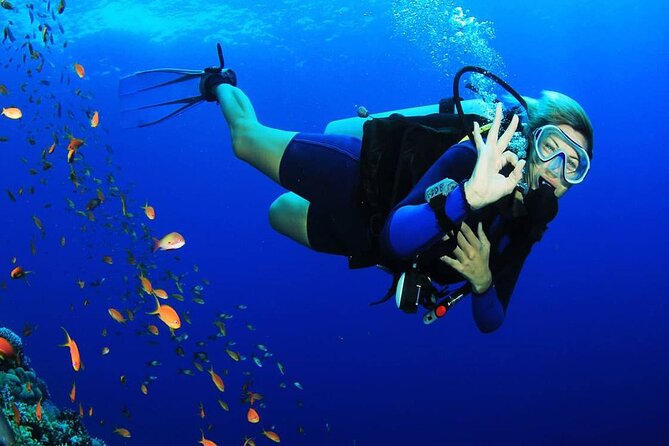 Intro Scuba Diving for beginners With (Lunch,Transfer) – Hurghada - What you’ll actually do underwater (and why it stays beginner-friendly)