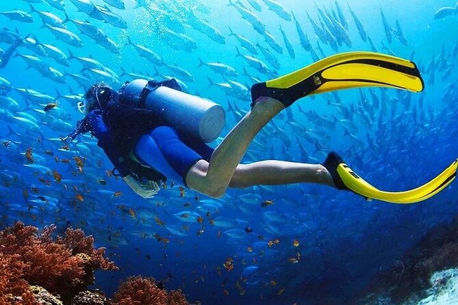 Intro Scuba Diving for beginners With (Lunch,Transfer) – Hurghada - The boat, the food, and the snack-and-sun rhythm