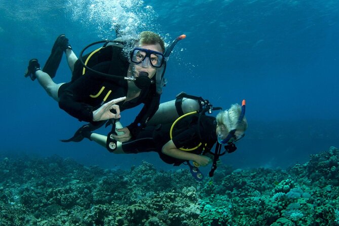 Intro Scuba Diving for beginners With (Lunch,Transfer) – Hurghada - Marine life and underwater scenery: what to expect