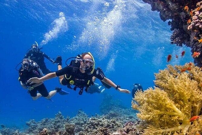 Intro Scuba Diving for beginners With (Lunch,Transfer) – Hurghada - Equipment and safety: where first-timers gain confidence