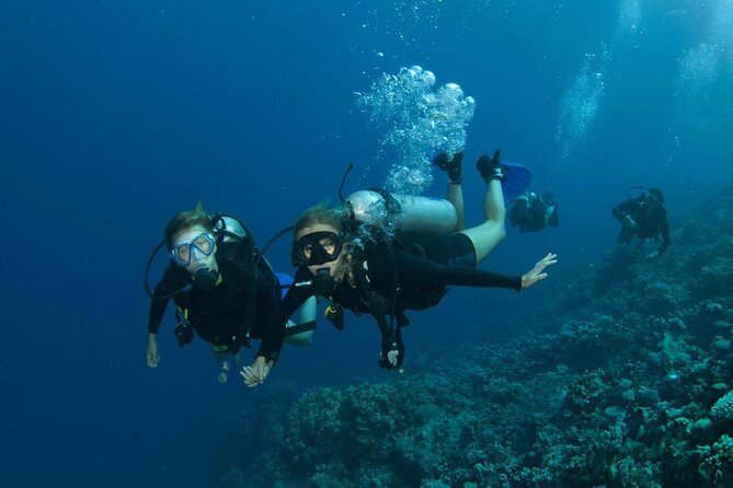 Intro Scuba Diving for beginners With (Lunch,Transfer) – Hurghada - The one thing to watch: time, transfers, and potential schedule hiccups