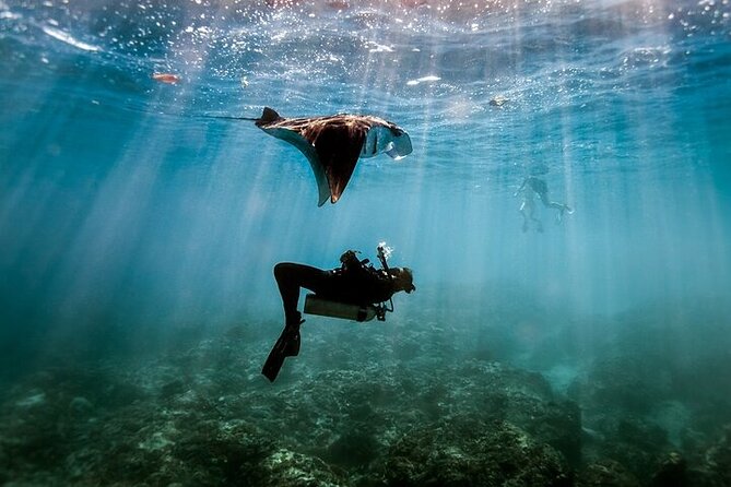 Intro Scuba Diving for beginners With (Lunch,Transfer) – Hurghada - Price and logistics: what your $20 covers, and what to plan for