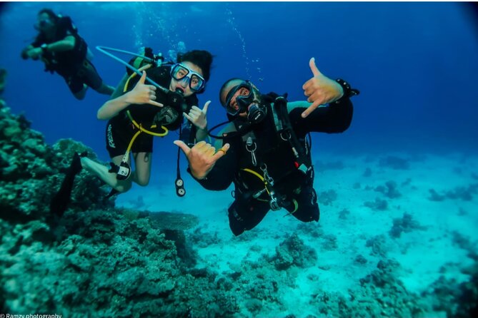 Introduction: Diving from the Reef in Sharm El Sheikh - Reef-First Scuba Intro in Sharm el-Sheikh