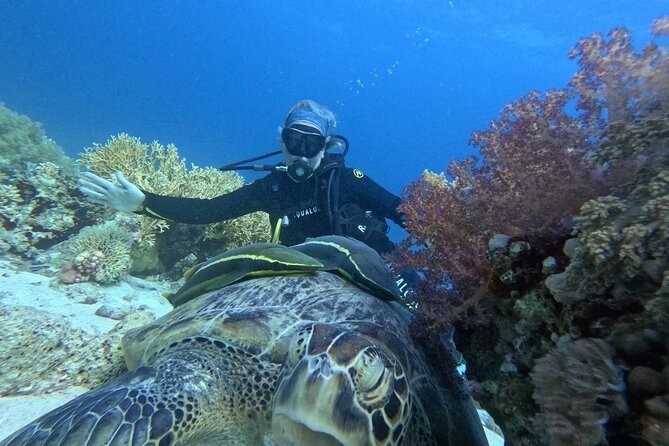 Introduction: Diving from the Reef in Sharm El Sheikh - Who This Scuba Intro Works Best For