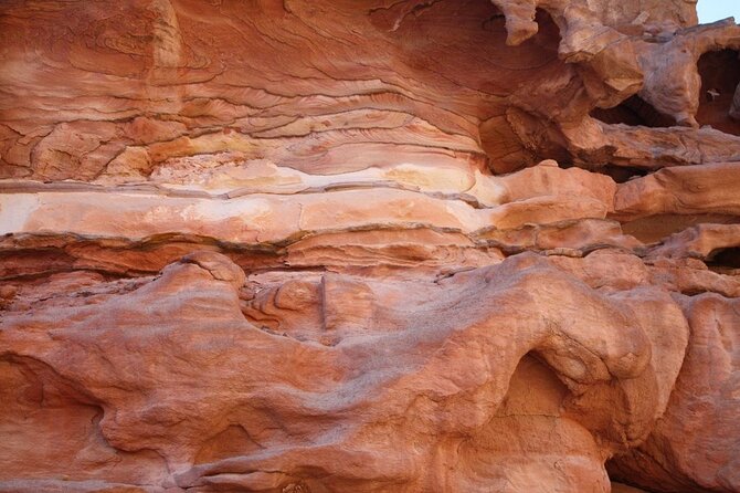 Jeep Safari To Canyon Salama And Dahab Tour From Sharm El Sheikh - Camel ride along the Aqba Gulf: short but scenic