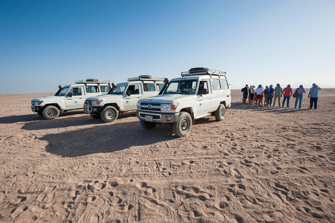 Jeep Super Safari Excursion Sunset, Camel Ride, Bedouin Dinner - Marsa Alam - From Hotel Pickup to Desert Start: Your 7-Hour Timeline