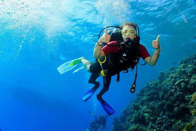 Join our Daily Diving Trip with 2 dives Transfer & Lunch-Hurghada - Two underwater sessions at different sites: what that changes for you