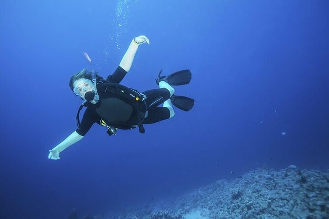 Join our Daily Diving Trip with 2 dives Transfer & Lunch-Hurghada - Gear and instructor support: the difference between okay and memorable