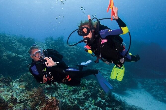 Join our Daily Diving Trip with 2 dives Transfer & Lunch-Hurghada - Practical tips for a smooth Red Sea scuba day