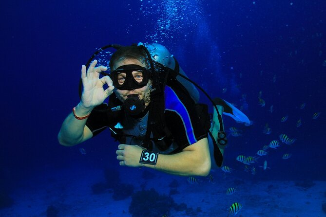 Join our Daily Diving Trip with 2 dives Transfer & Lunch-Hurghada - Pickup, boat time, and the comfort factor that people forget