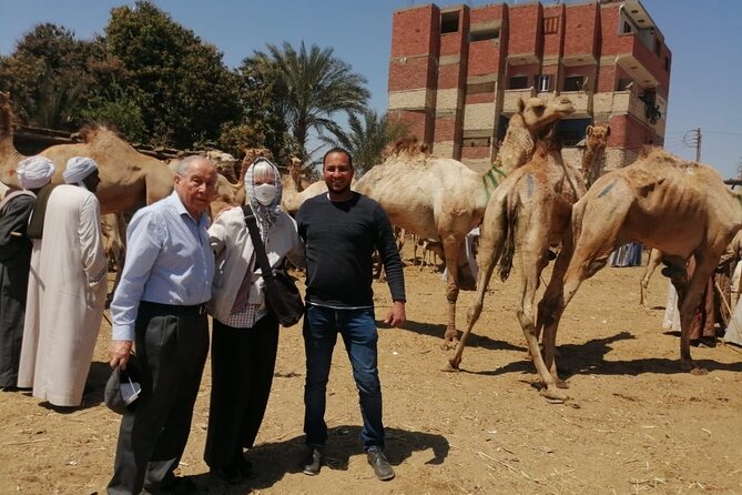 Luxor Airport Private transfer to your hotel or vice versa - Who should book this Luxor airport private transfer?