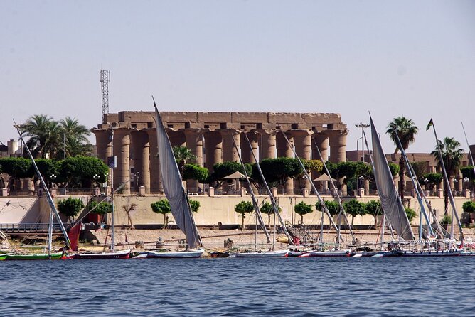 Luxor City Tour By Horse Carriage - Pickup, timing, and what the 1-hour tour feels like