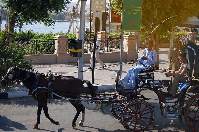 Luxor City Tour By Horse Carriage - Luxor Temple pass-by: why it’s worth your time