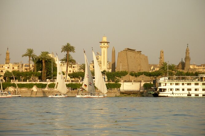 Luxor City Tour By Horse Carriage - Who this Luxor carriage tour suits best