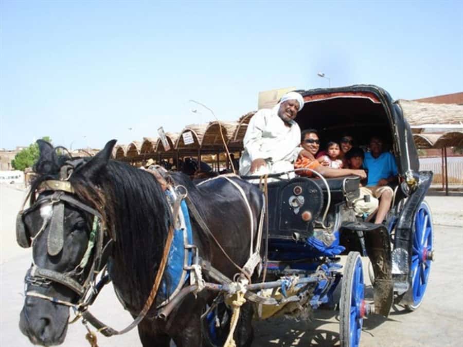 Luxor City Tour by Horse Carriage Visit Local - Key highlights at a glance