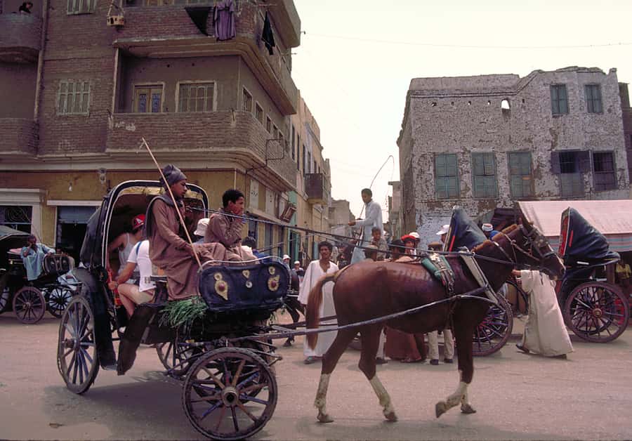 Luxor City Tour by Horse Carriage Visit Local - What to Expect Day-of: Comfort, Clothing, and Photos