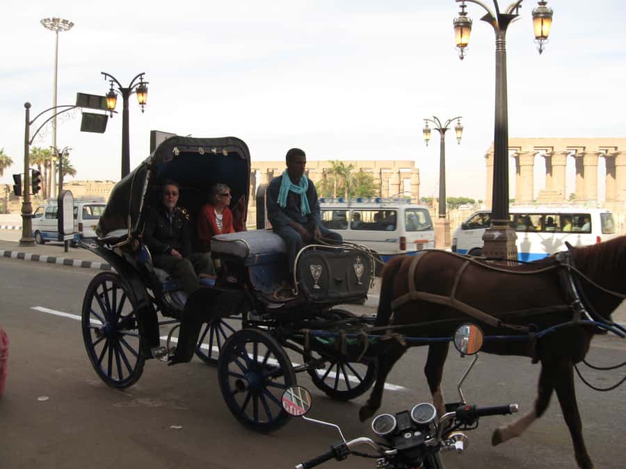 Luxor City Tour by Horse Carriage Visit Local - Hotel Pickup to Horse Carriage: How the 150 Minutes Work