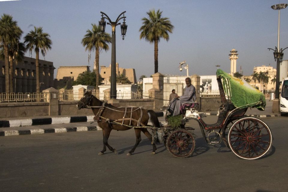 Luxor City Tour by Horse Carriage Visit Local - Coptic Christian Churches Along the East Bank: Layers You Can Actually See