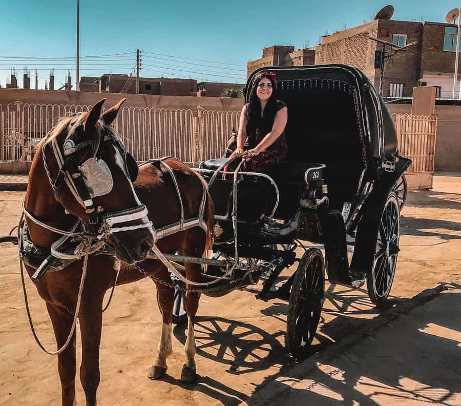 Luxor City Tour by Horse Carriage Visit Local - Luxor Temple and Ramses II: The Monument Stop That Feels Personal
