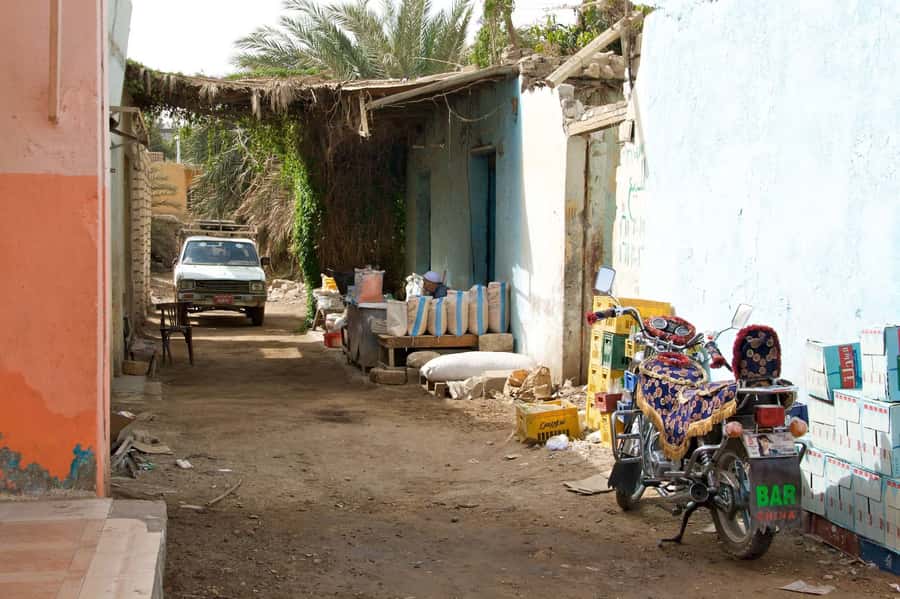 Luxor City Tour by Horse Carriage Visit Local - Price and Value: Why $12 Can Make Sense Here