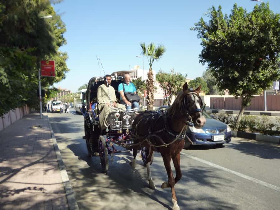 Luxor City Tour by Horse Carriage Visit Local - Through a Historic Village: Seeing Luxor Before the Big Stones