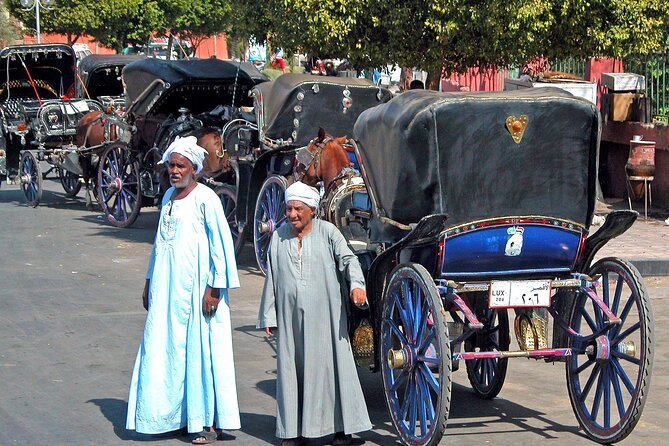 Luxor City Tour By Horse Carriage - The ride itself: Nile Corniche stroll-by views
