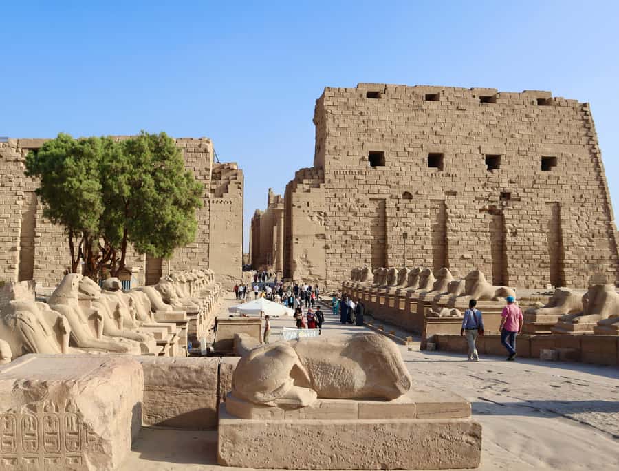 Luxor: East and/or West Banks Guided Tour with Lunch - Valley of the Kings: royal tombs, guided walking, and smart expectations