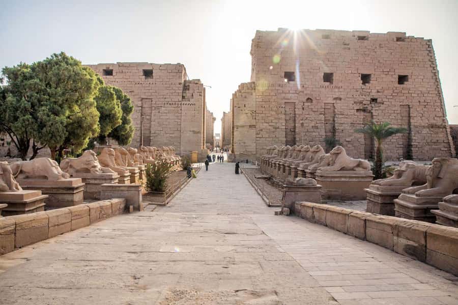 Luxor: East and West Bank Private Full-Day Tour - Lunch and water: small comfort wins on a long day