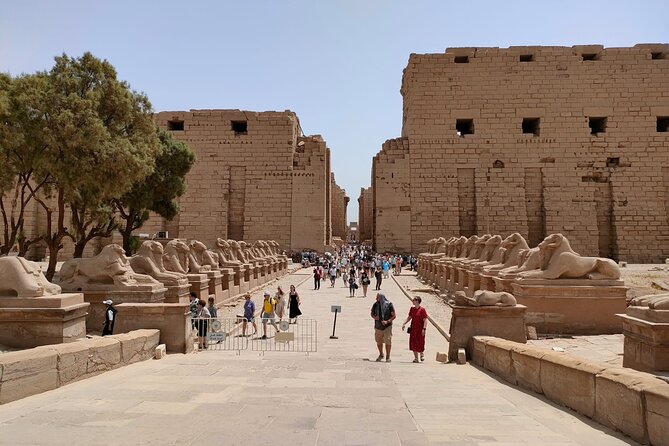 Luxor East Bank: Karnak and Luxor Temples (Private Tour) - Private Timing and Real-World Convenience: Why This Format Works