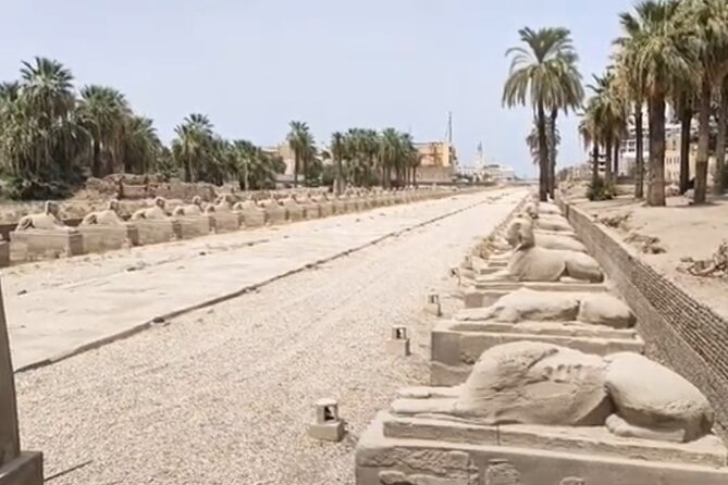 Luxor East Bank: Karnak and Luxor Temples (Private Tour) - Price and Value: What $15 Per Person Really Means