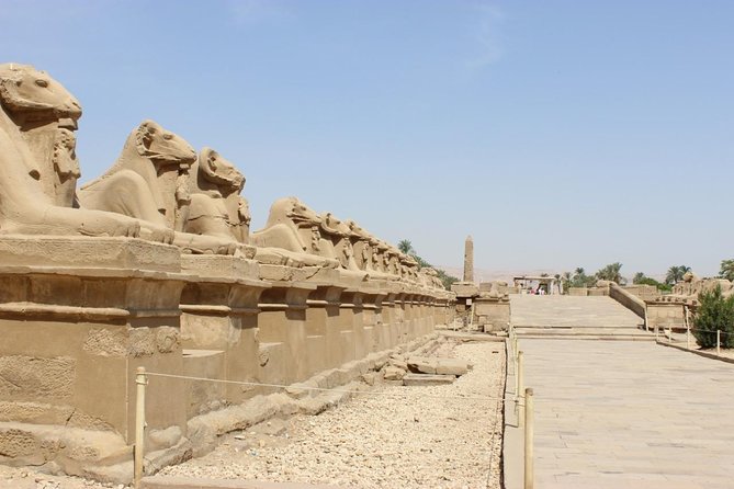 Luxor Excursion “Valley of the Kings” from Hurghada (Maine group) - From Hurghada to Luxor: the 4:00 am reality check