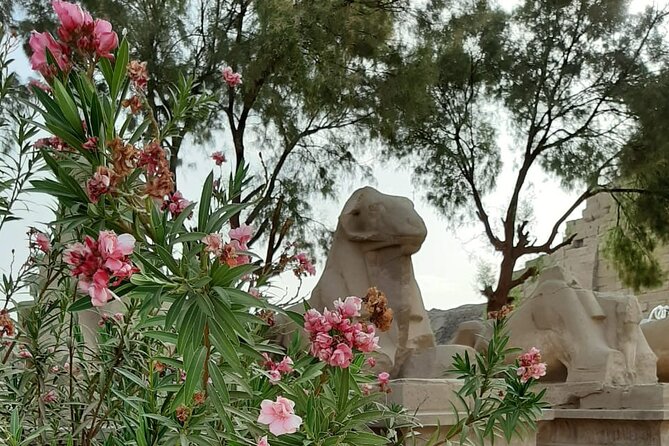 Luxor Full Day Tour - Colossi of Memnon: the singing statues and the Roman explanation