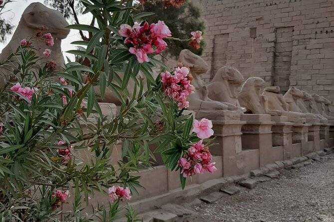 Luxor Full Day Tour - Price and logistics: where the $100 really goes