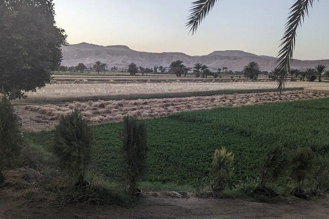 Luxor Half Day tour: Valley of the Kings, Hatshepsut and Memnon - Valley of the Kings: Seeing the Royal Tombs Without Losing Your Day