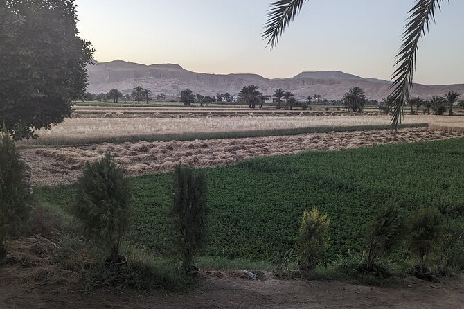 Luxor Half Day tour: Valley of the Kings, Hatshepsut and Memnon - Colossi of Memnon: The 30-Minute Stop That Still Feels Worth It