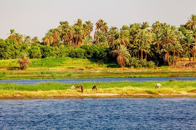 Luxor Nile River Private Felucca Ride at Sunset - Pickup, timing, and what the 3-hour flow feels like