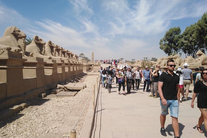 Luxor one day trip from hurghada - Meeting at 4:00 AM: Timing, Transport, and How to Prep
