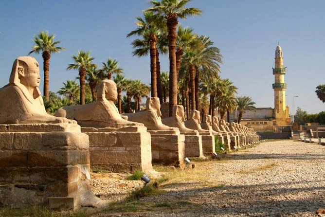 Luxor Private day tour from Makadi with Private Tour guide - Price and logistics: what $204.51 really covers